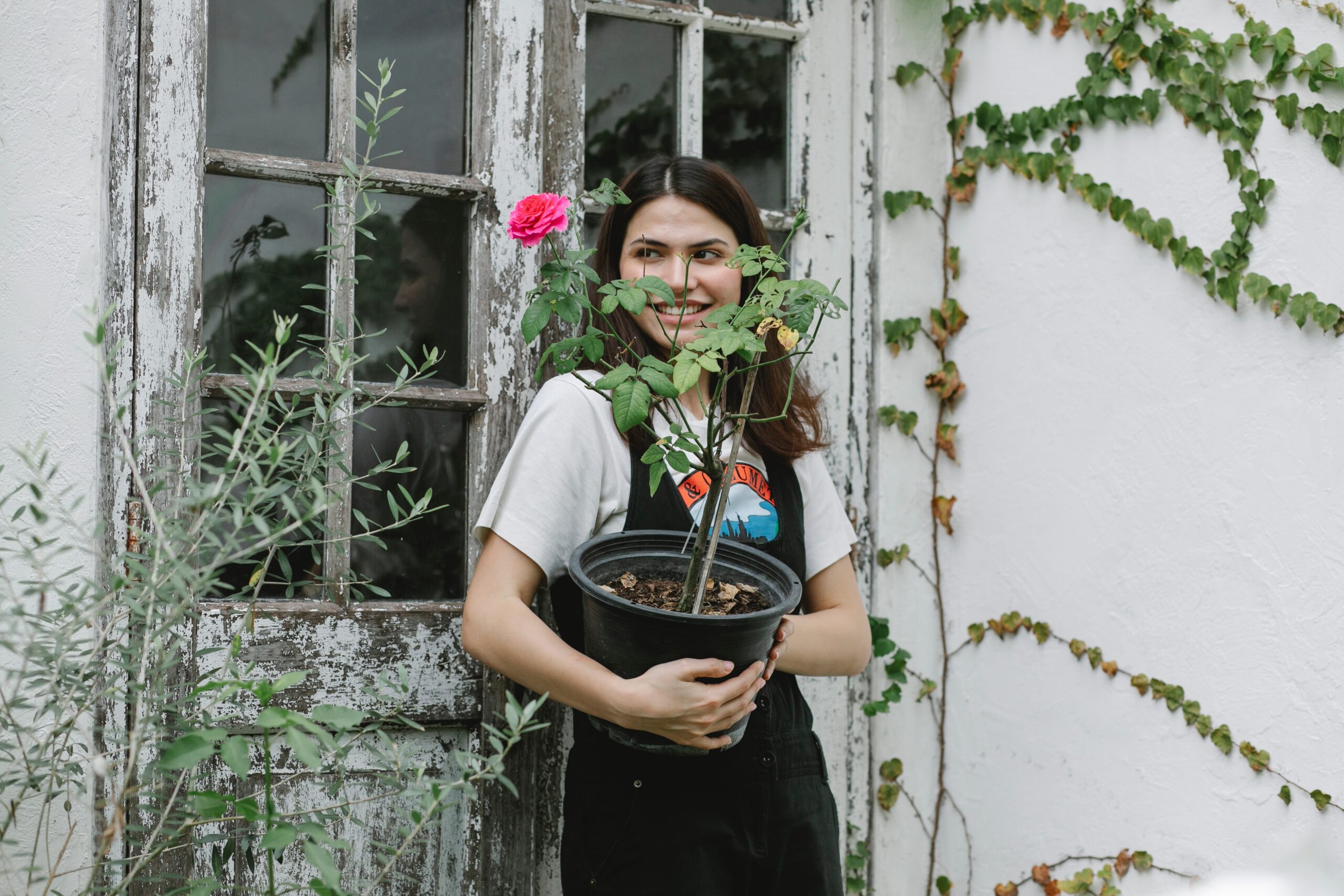 Una mujer alegre frente a una ventana en un jard&iacute;n sosteniendo una maceta con un rosal.