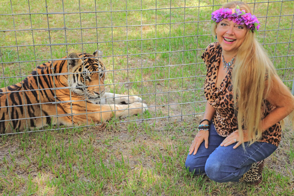 Carole wearing a flower tiara kneeling and smiling next to a large tiger that is behind a  fence.