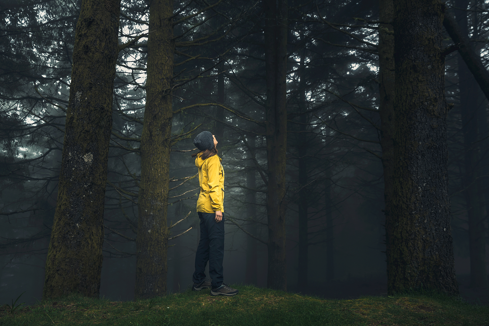 A young woman wearing a yellow jacket, looking up in the middle of a dark and dense forrest.