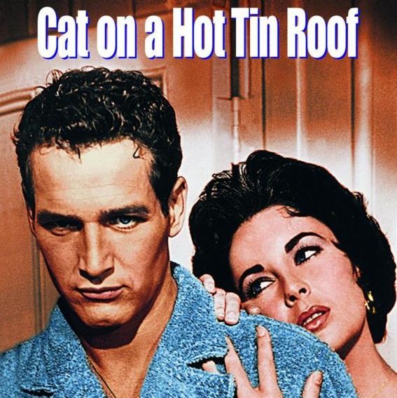 Un gato en el tejado caliente